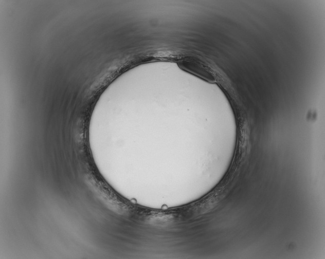 X0000114170257200911051534