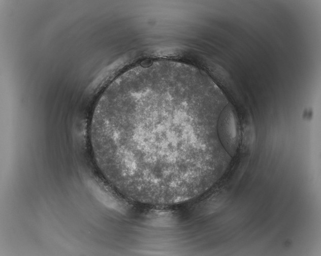 X0000114170260200911051534