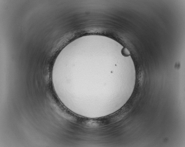 X0000114170261200911051534