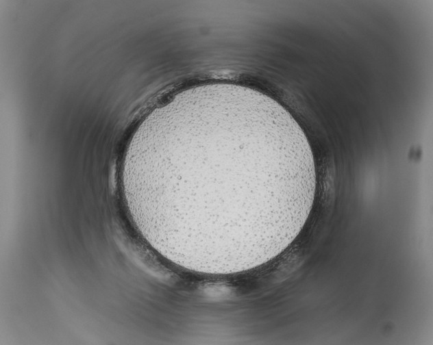 X0000114170262200911051534