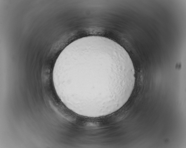 X0000114170263200911051534