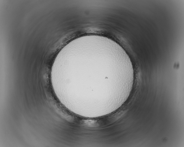 X0000114170265200911051534