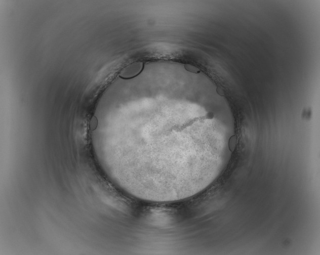 X0000114170268200911051534