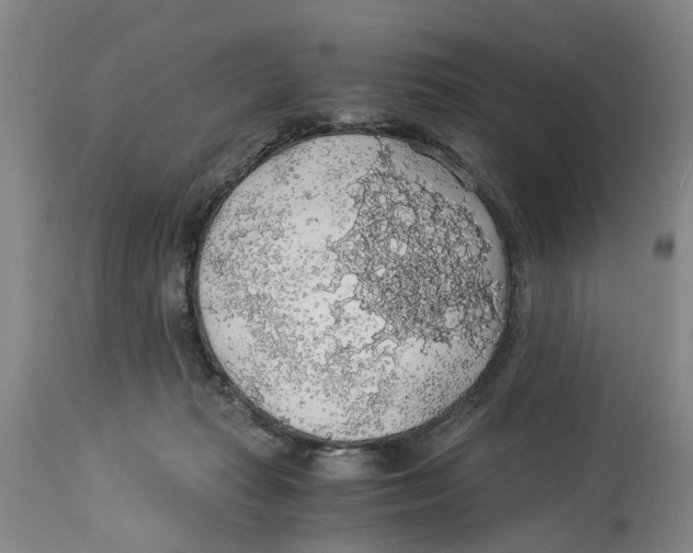 X0000114170269200911051534