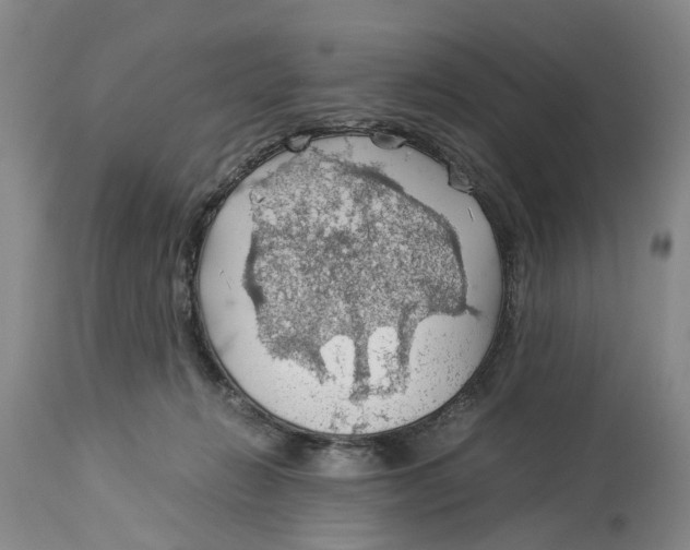 X0000114170270200911051534