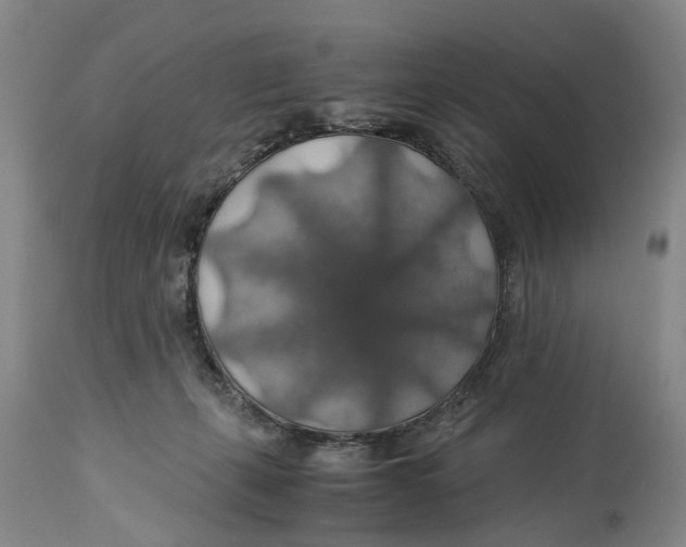 X0000114170271200911051534