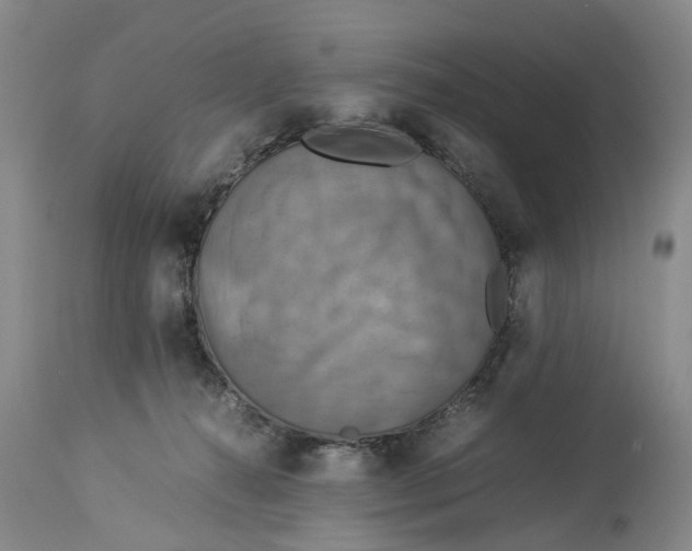 X0000114170272200911051534