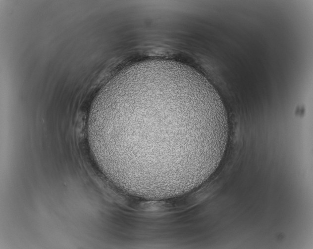 X0000114170273200911051534