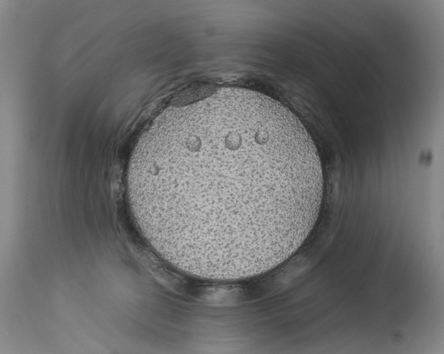 X0000114170274200911051534