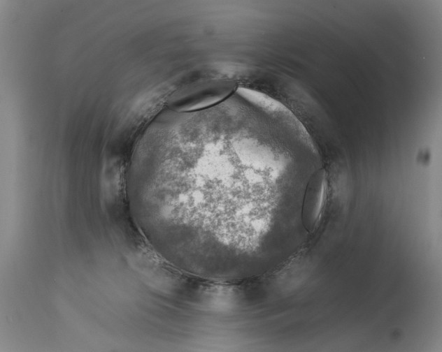 X0000114170276200911051534