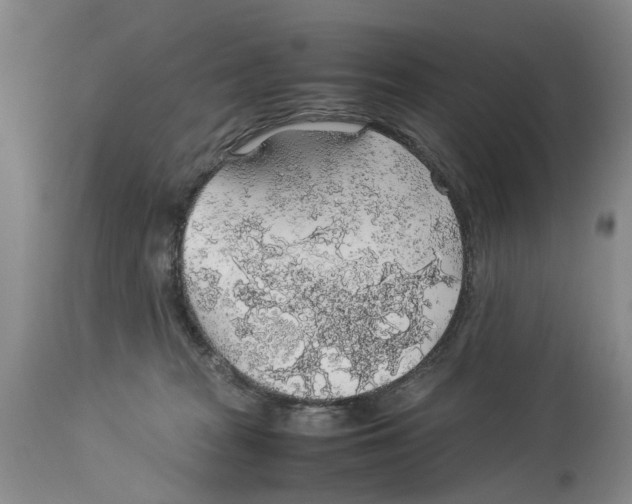 X0000114170277200911051534