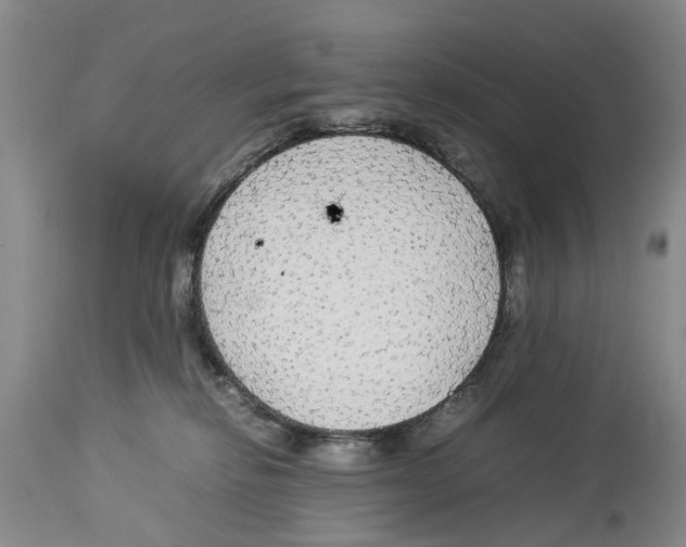 X0000114170278200911051534