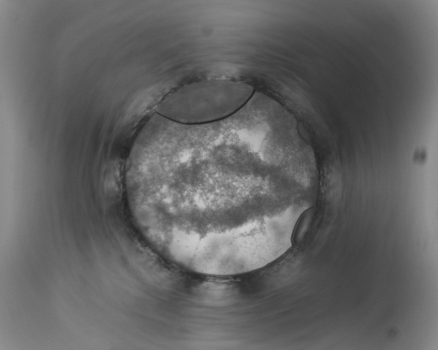 X0000114170280200911051534