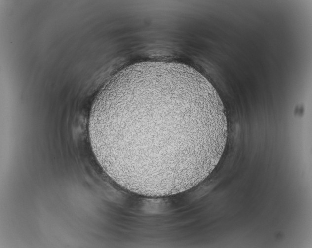 X0000114170281200911051534