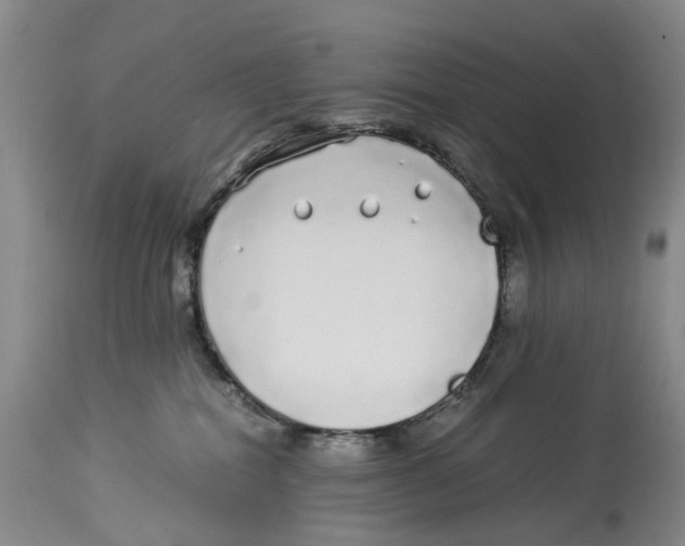 X0000114170282200911051534