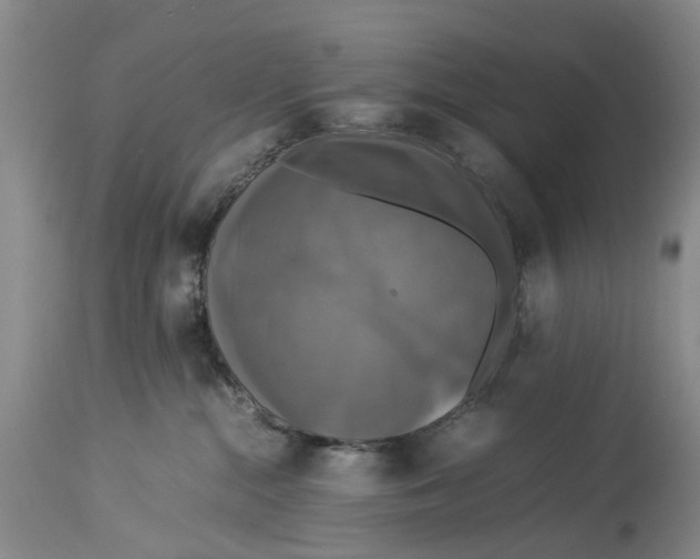 X0000114170284200911051534