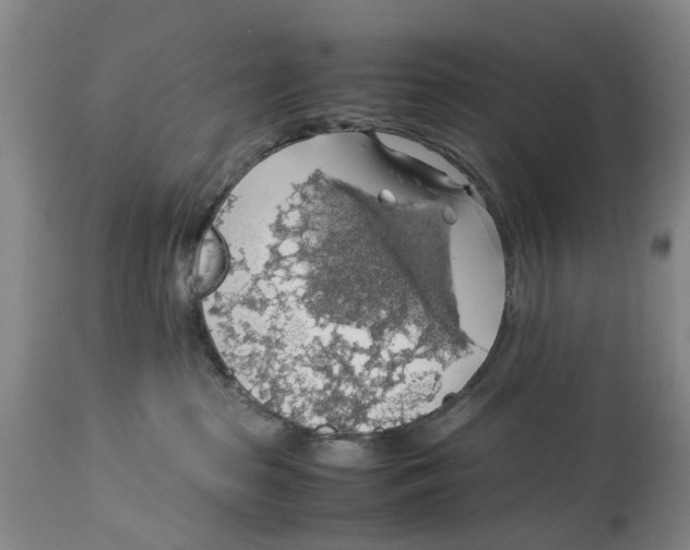 X0000114170285200911051534