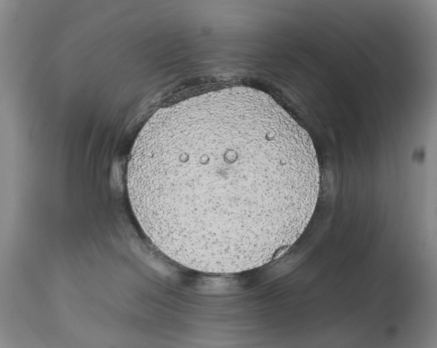 X0000114170286200911051534