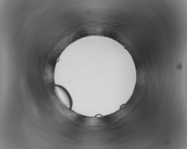 X0000114170287200911051534