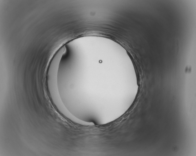 X0000114170289200911051534