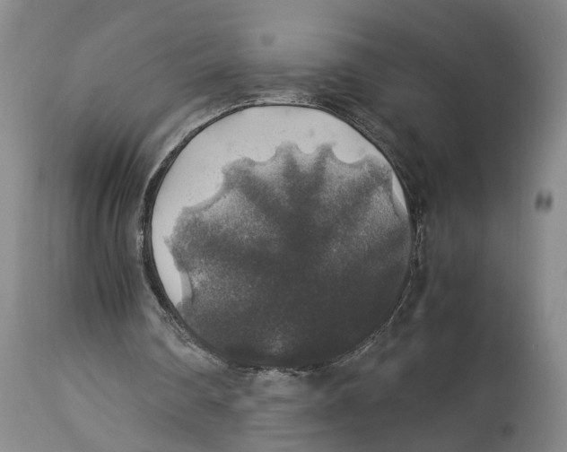 X0000114170290200911051534