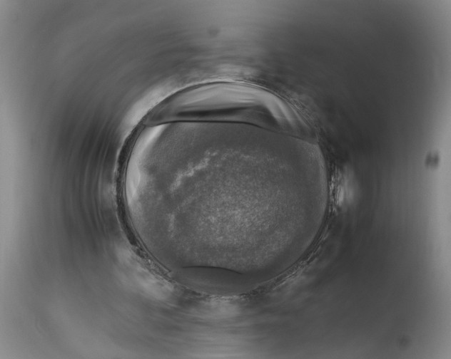 X0000114170292200911051534