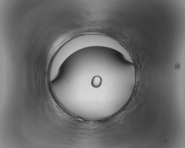 X0000114170293200911051534