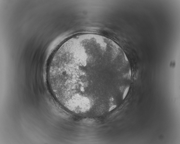 X0000114170294200911051534