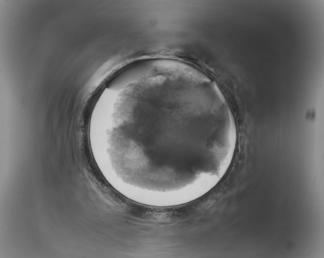 X0000114170295200911051534