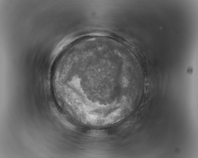 X0000114170296200911051534