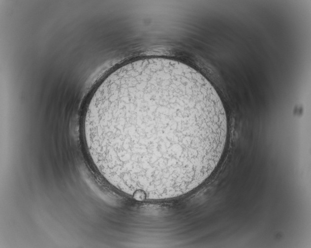 X0000114170298200911051534