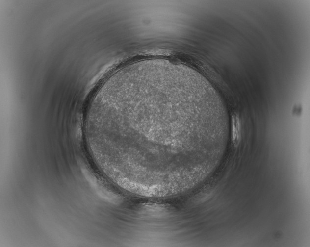 X0000114170300200911051533