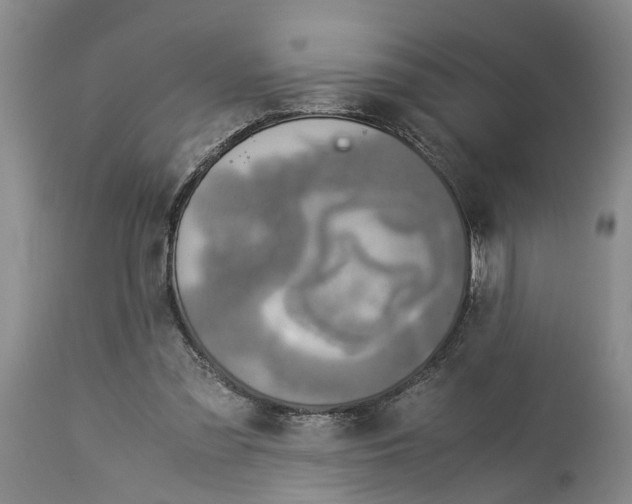 X0000114170301200911051533