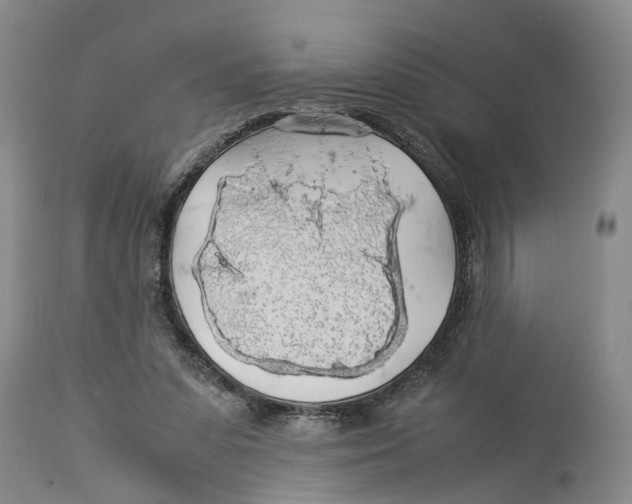 X0000114170303200911051533