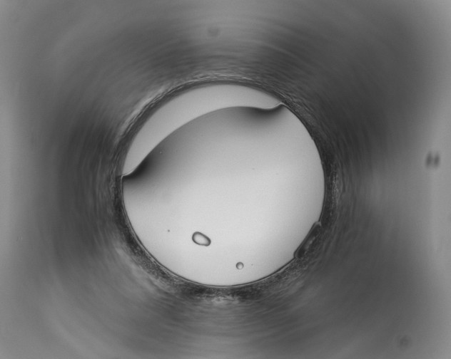 X0000114170304200911051533