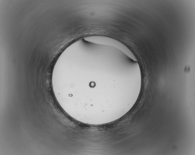 X0000114170305200911051533