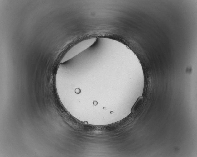 X0000114170308200911051533