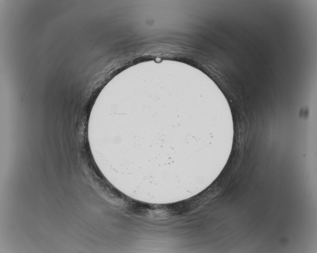 X0000114170309200911051533