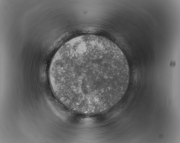 X0000114170312200911051533