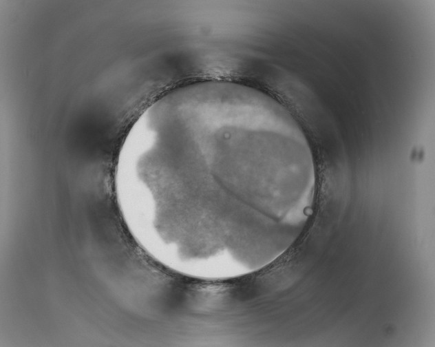 X0000114170313200911051533