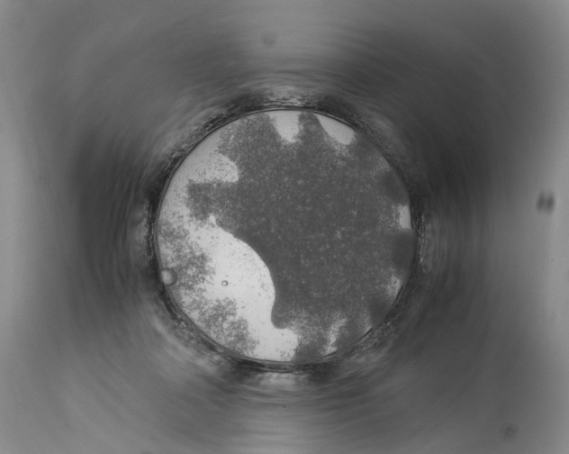 X0000114170314200911051533