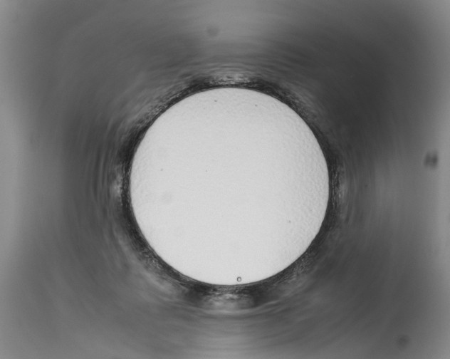 X0000114170315200911051533