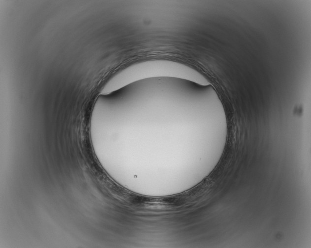 X0000114170316200911051533