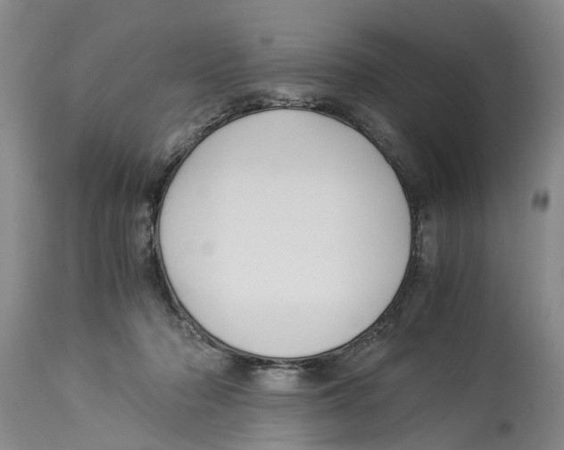 X0000114170318200911051533