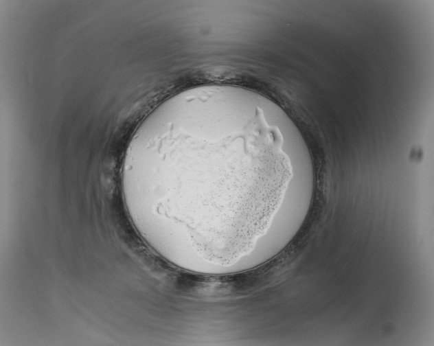 X0000114170319200911051533