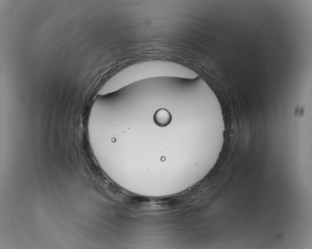 X0000114170320200911051533