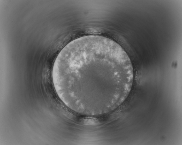 X0000114170322200911051533