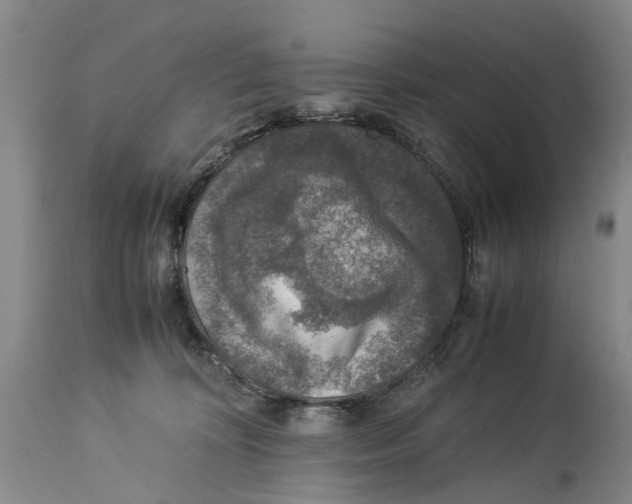 X0000114170324200911051533