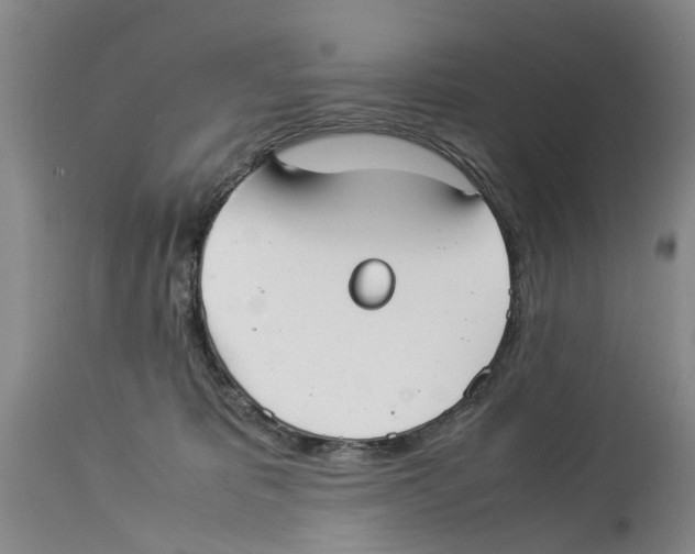 X0000114170325200911051533