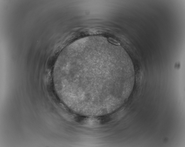 X0000114170327200911051533